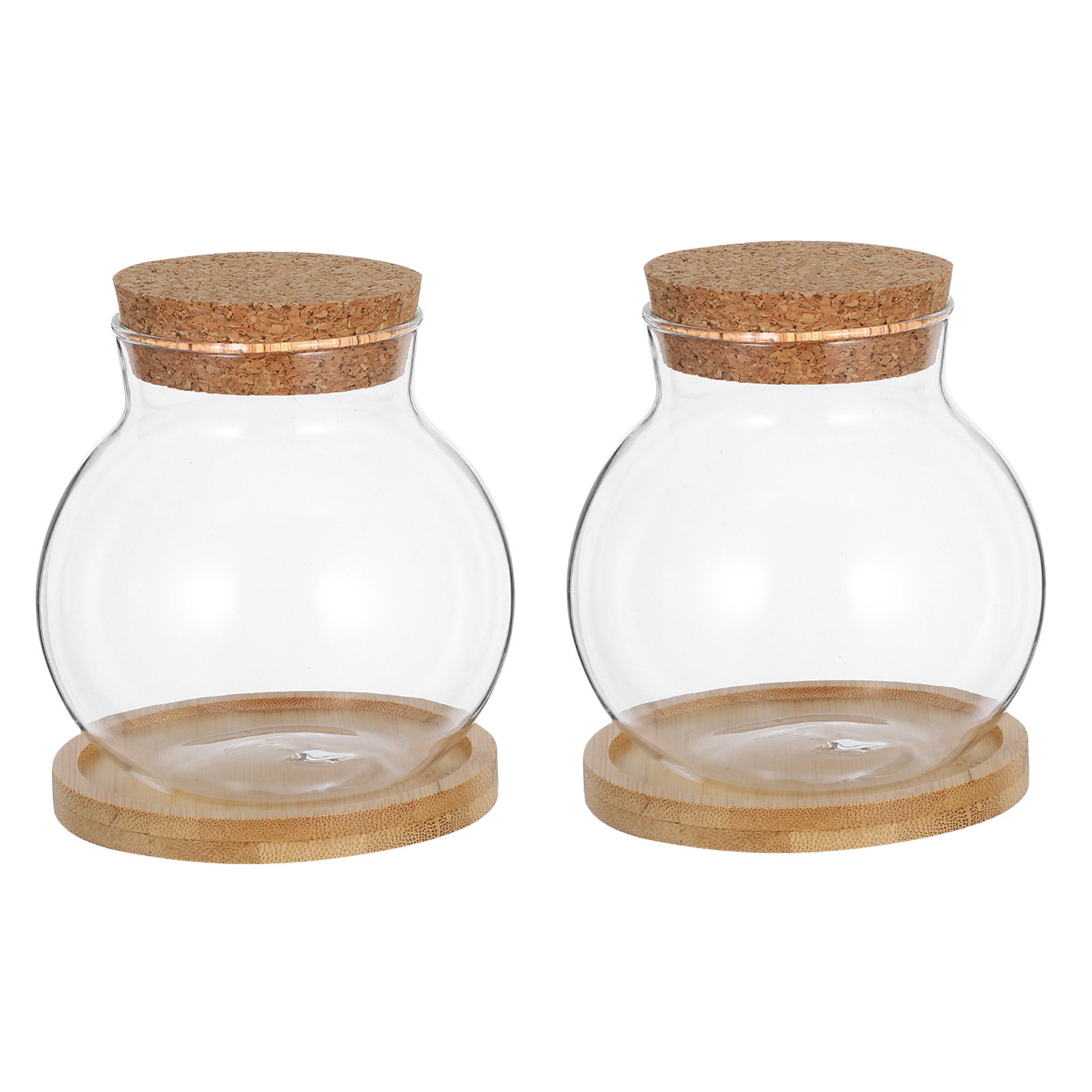 ชุด 2 ชิ้น แจกันแก้วไฮโดรโพนิก - Propagation Station Vase บทวิจารณ์และราคา