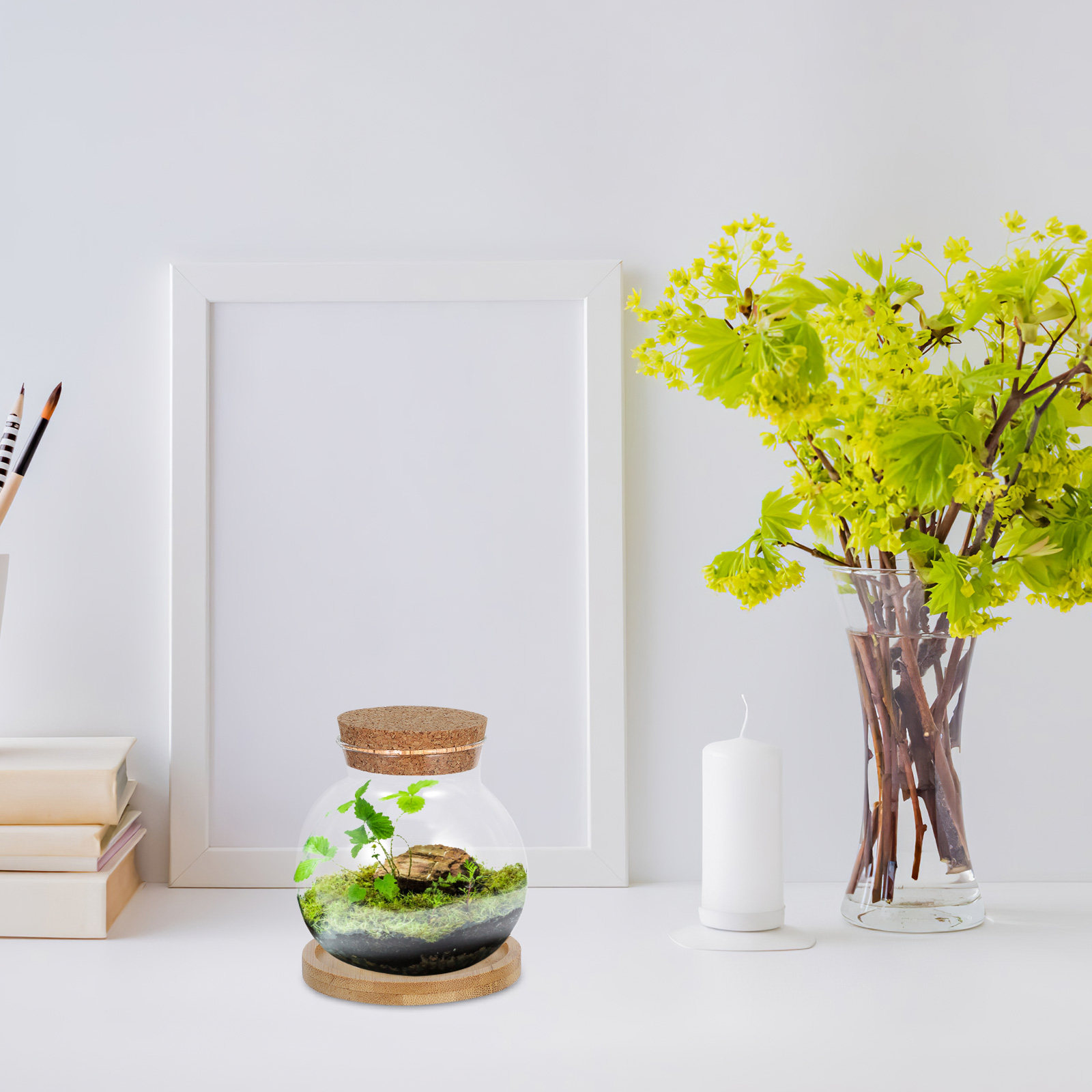 ชุด 2 ชิ้น แจกันแก้วไฮโดรโพนิก - Propagation Station Vase บทวิจารณ์และราคา